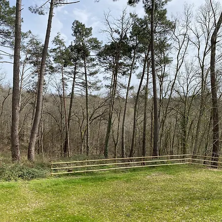 Le Chirol Lamonzie-Montastruc