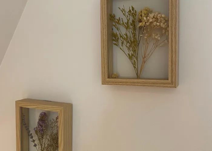 住宿加早餐酒店 Le Chirol 4*